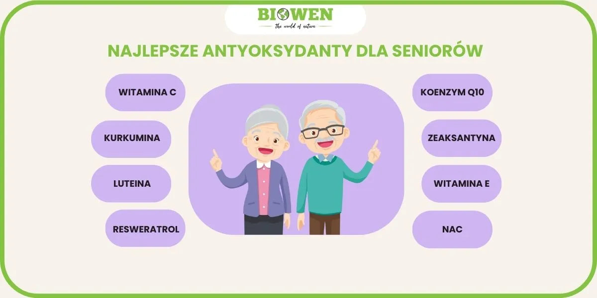 najlepsze antyoksydanty dla seniorów infografika