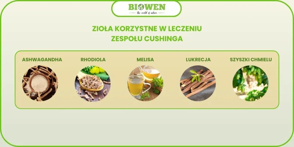 naturalne metody wspierające leczenie zespołu Cushinga ziołami infografika