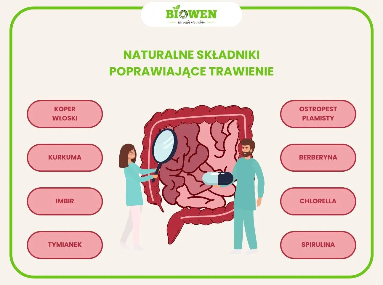suplementy wspierające trawienie infografika