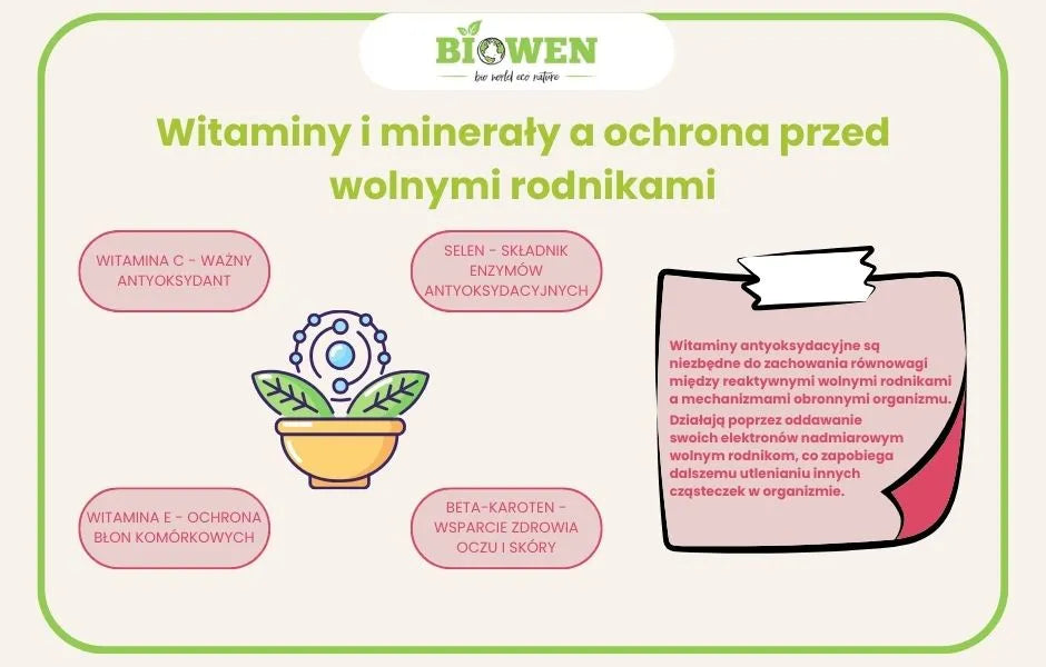 witaminy i mineraly a ochrona przed wolnymi rodnikami - infografika