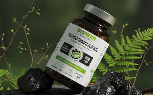 Słoik suplementu Mumio himalajskie Biowen 90 kapsułek pośród czarnych brył mumio i zielonych liści paproci.