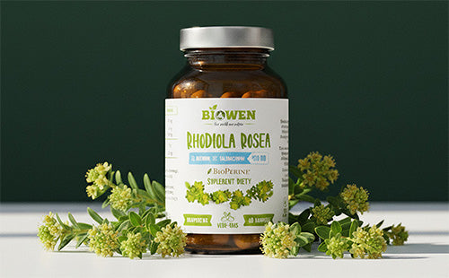 Opakowanie Rhodiola Rosea Biowen 60 kapsułek ustawione wśród kwitnących gałązek różeńca górskiego.