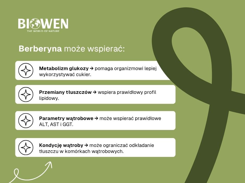 Jak berberyna wspiera metabolizm? - infografika