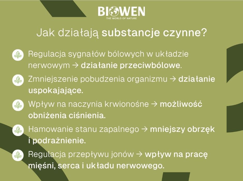 Jak działają substancje czynne - infografika