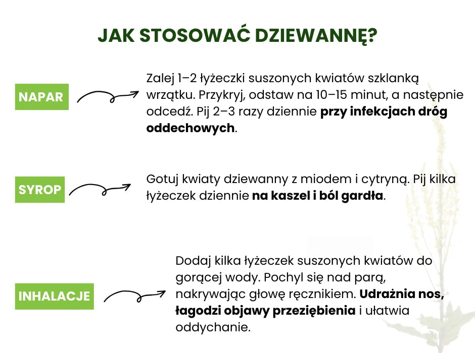 Jak stosować dziewannę - infografika
