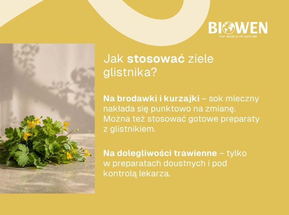 Jak stosować jaskółcze ziele - infografika