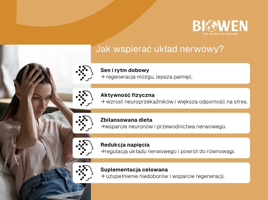 Jak wspierać układ nerwowy? - infografika