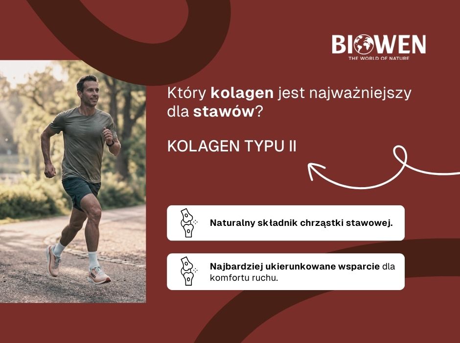 Jaki kolagen na stawy? - infografika