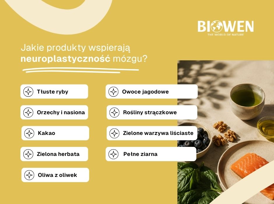Jakie produkty wspierają neuroplastyczność mózgu? - infografika