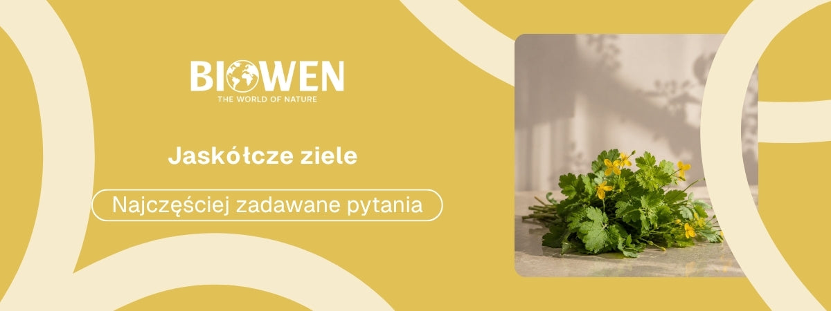Jaskółcze ziele FAQ - obrazek poglądowy