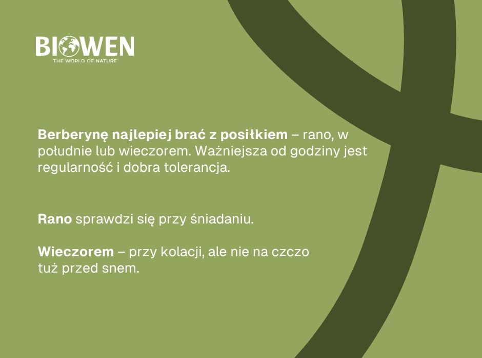 Kiedy brać bernerynę - infografika