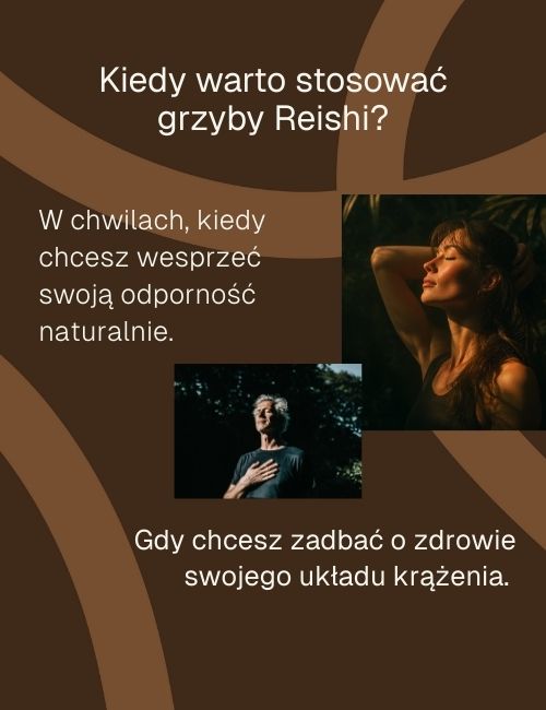 Grafika informacyjna kiedy warto stosowac grzyby reishi