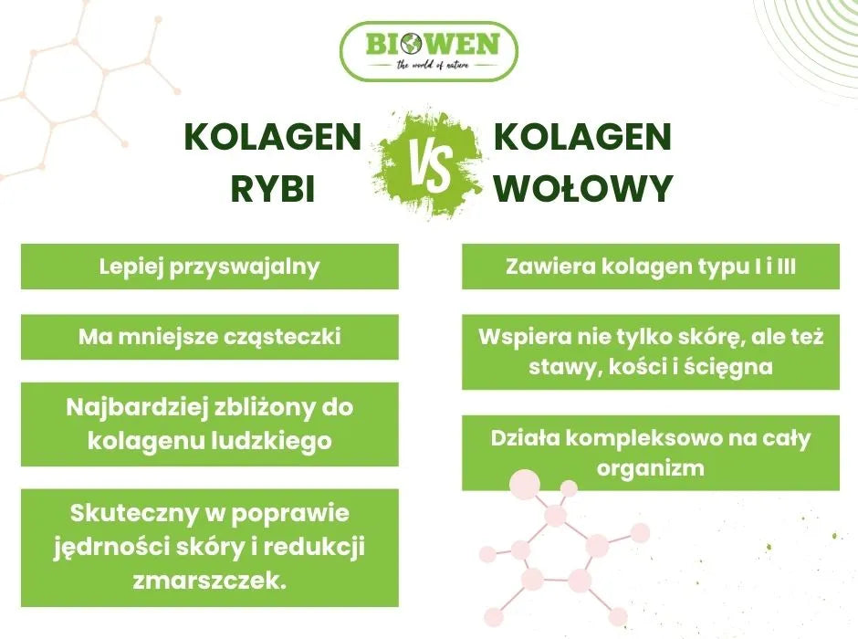 Kolagen rybi vs kolagen wołowy - infografika