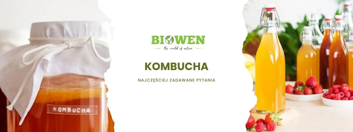 kombucha faq - najczęściej zadawane pytania