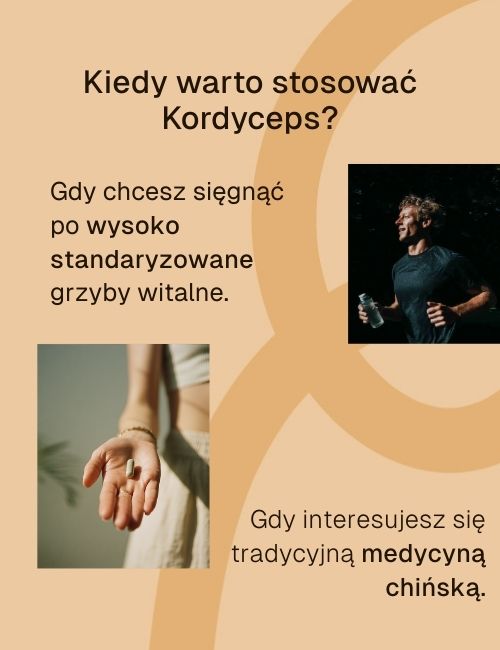 Grafika informacyjna kiedy warto stosować kordyceps