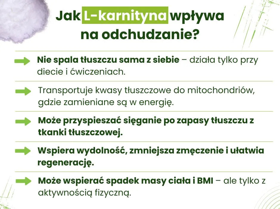 L-karnityna a odchudzanie - infografika