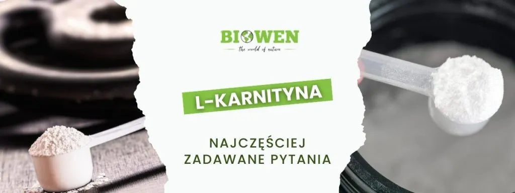 L-karnityna FAQ - obrazek poglądowy