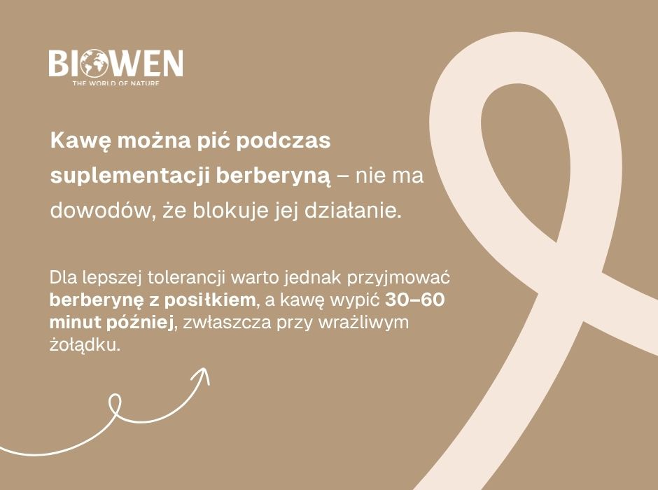 Łączenie kawy z berberyną - infografika