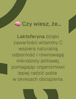 Grafika z napisem o laktoferynie wspierającej odporność i równowagę mikrobioty jelitowej dzięki witaminie C.