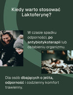 Infografika o stosowaniu laktoferyny z tekstem o odporności, antybiotykoterapii i zdjęciami rodziny oraz osoby śpiącej.