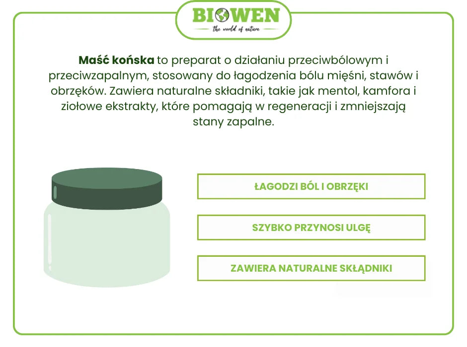 Maść końska - infografika
