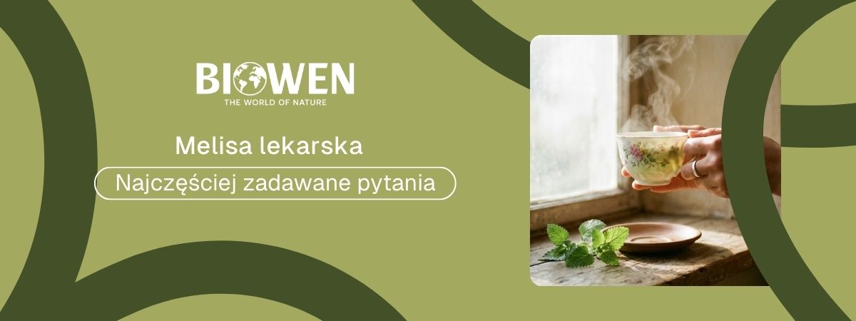 Melisa FAQ - obrazek poglądowy