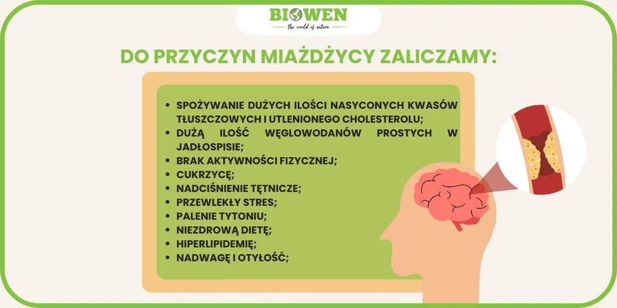 infografika przyczyny miażdżycy