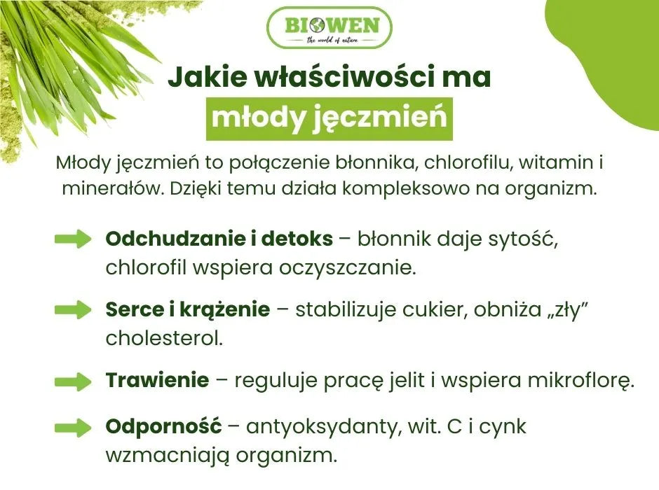 Młody jęczmień właściwości - infografika