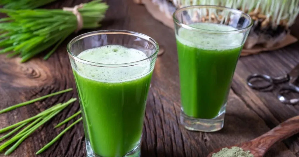 Młody jęczmień - zdjęcie poglądowe