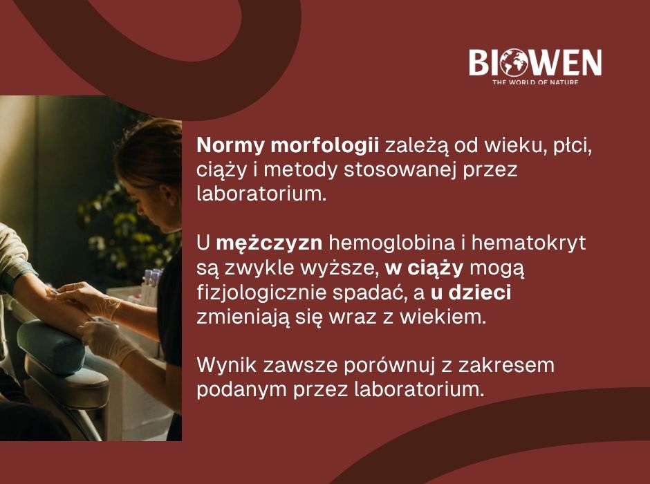 Morfologia - infografika