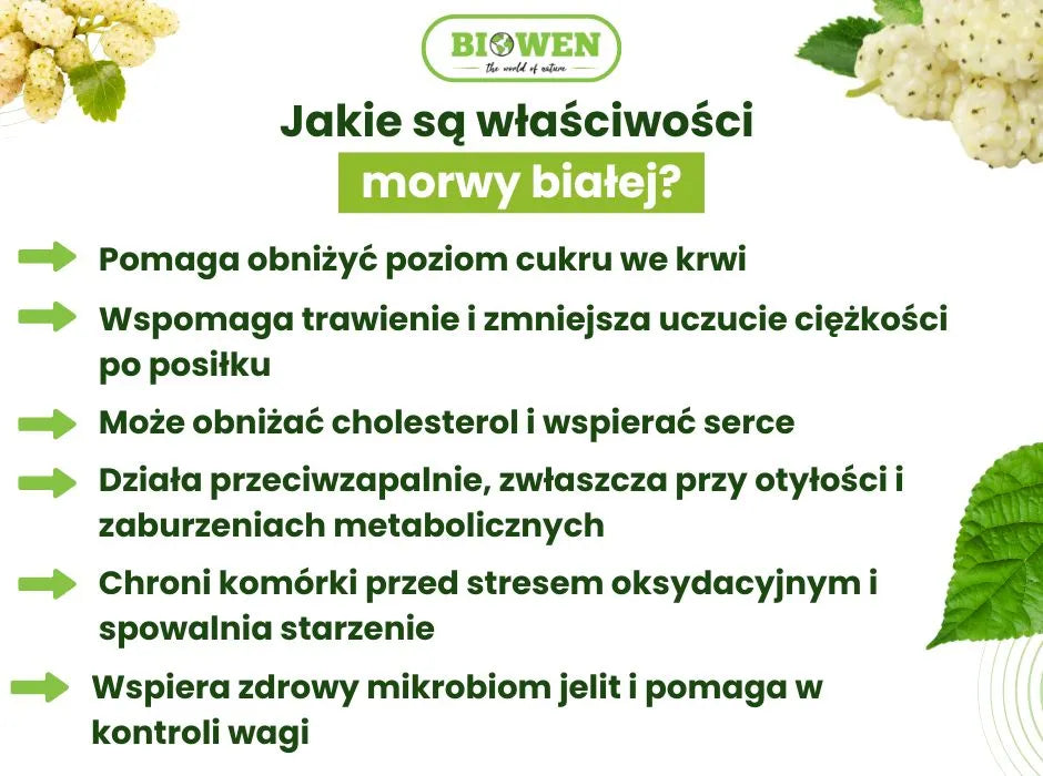 Morwa biała właściwości - infografika