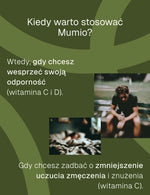 Grafika informacyjna kiedy warto stosować mumio