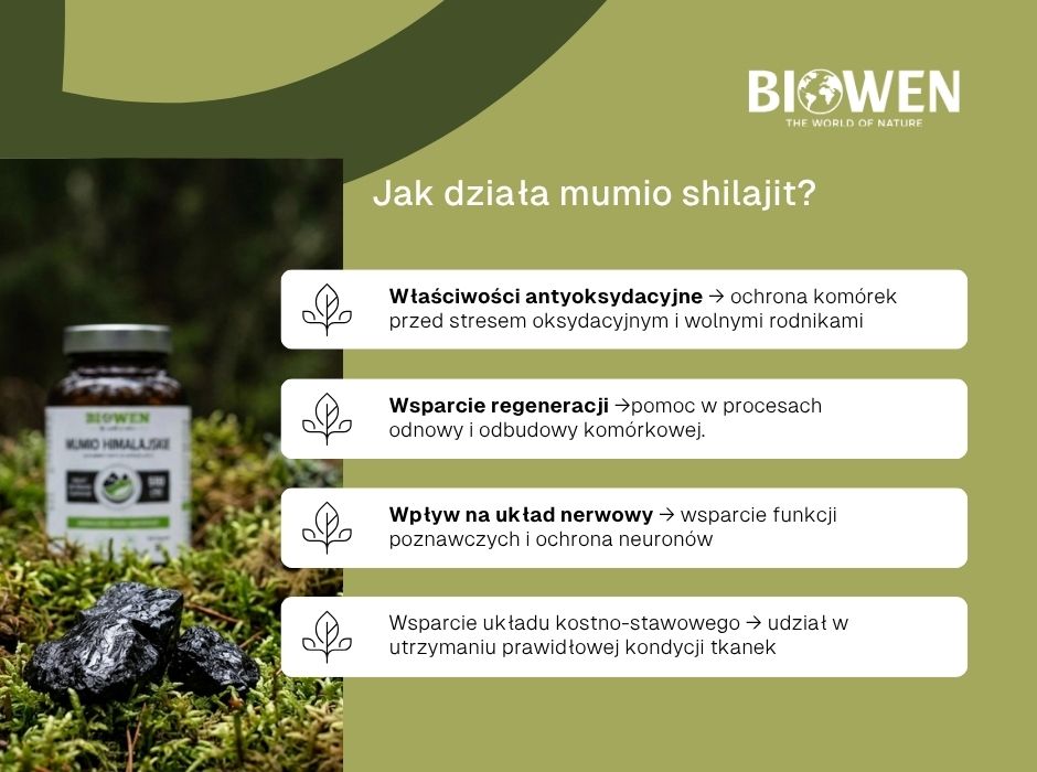 Mumio jak działa? - infografika