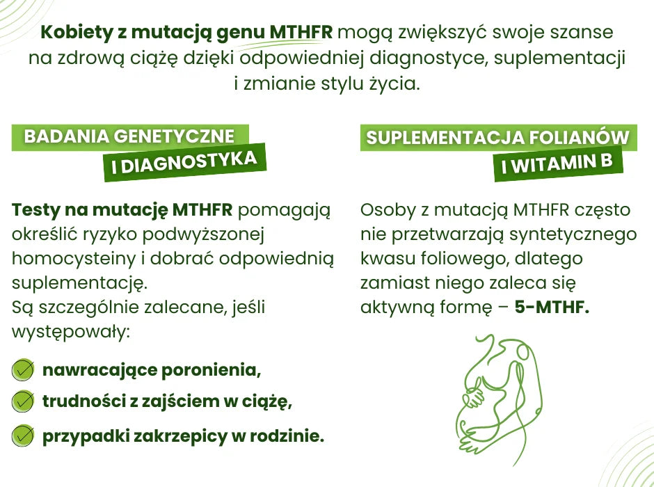 mutacja genu MTHFR infografika