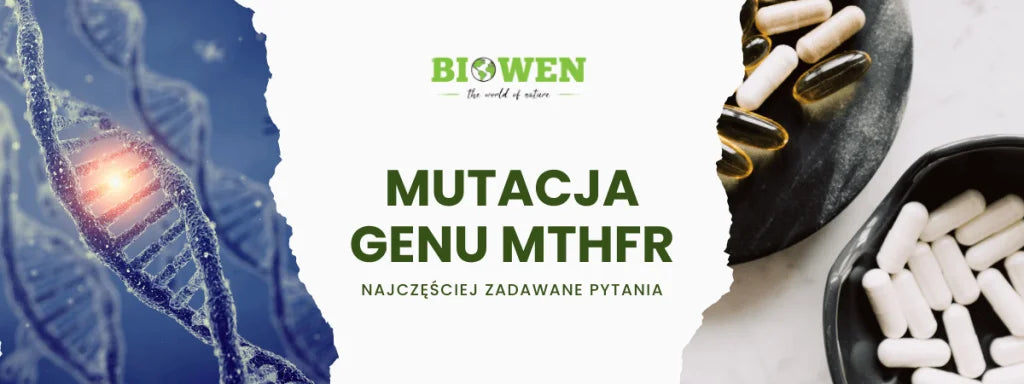 Mutacja genu MTHFR FAQ - najczęściej zadawane pytania