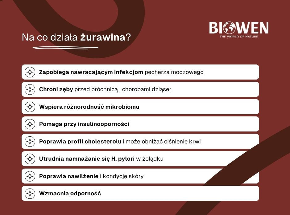Na co działa żurawina? - infografika