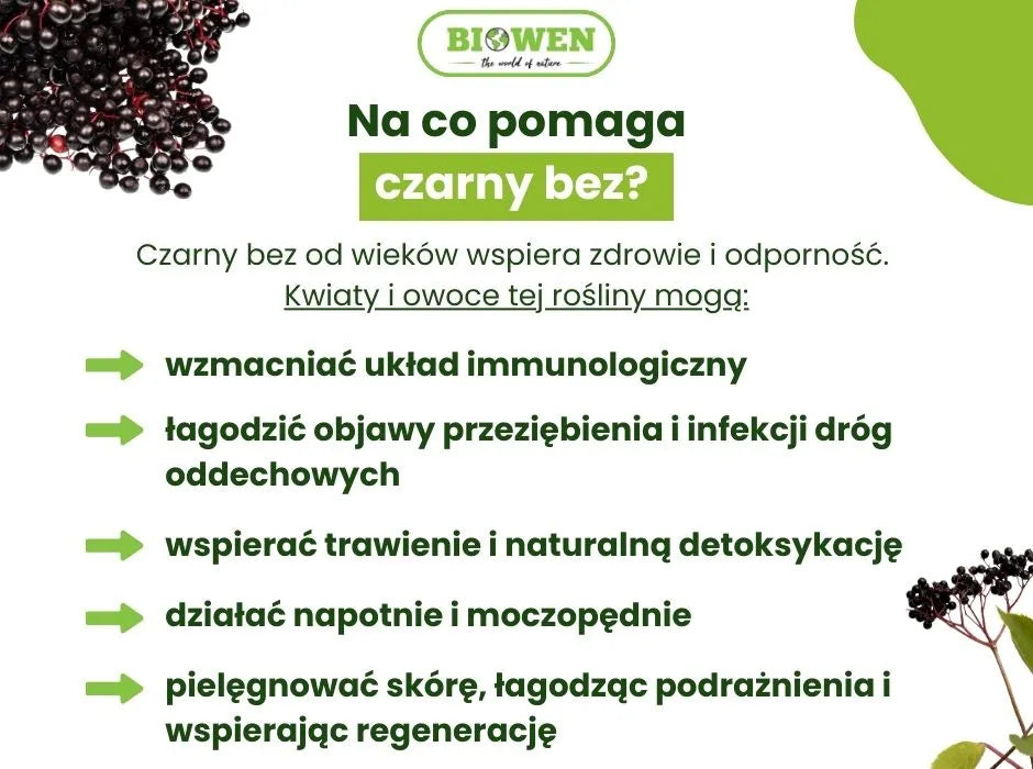 Na co pomaga czarny bez? - infografika