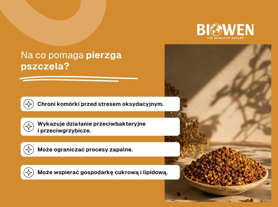 Na co pomaga pierzga pszczela? - infografika