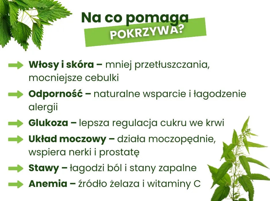 Na co pomaga pokrzywa? - infografika
