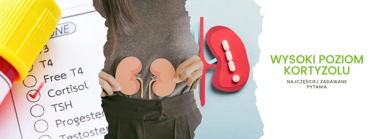 wysoki poziom kortyzolu najczęściej zadawane pytania