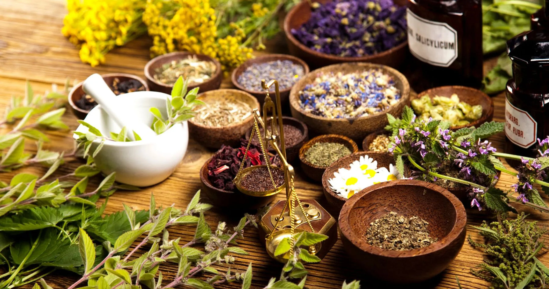 Naturalne zioła i rośliny wspierające porost włosów.