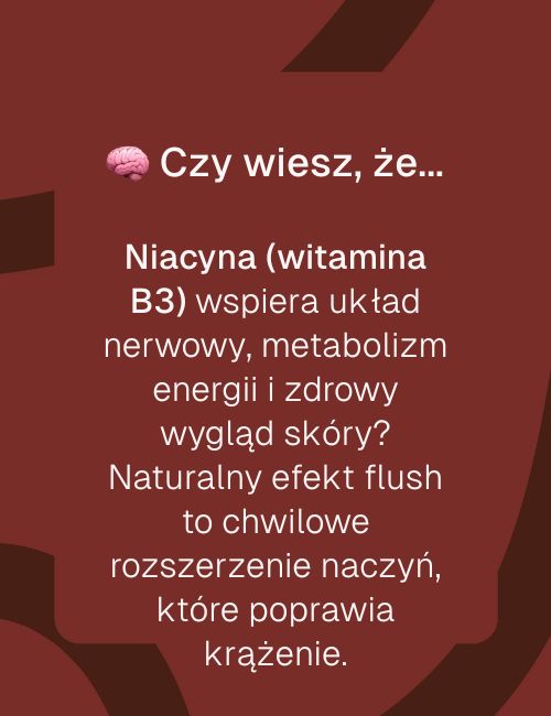 Grafika informacyjna o produkcie Niacyna (witamina B3) Biowen Proszek 120 g z opisem jej działania na układ nerwowy i skórę.