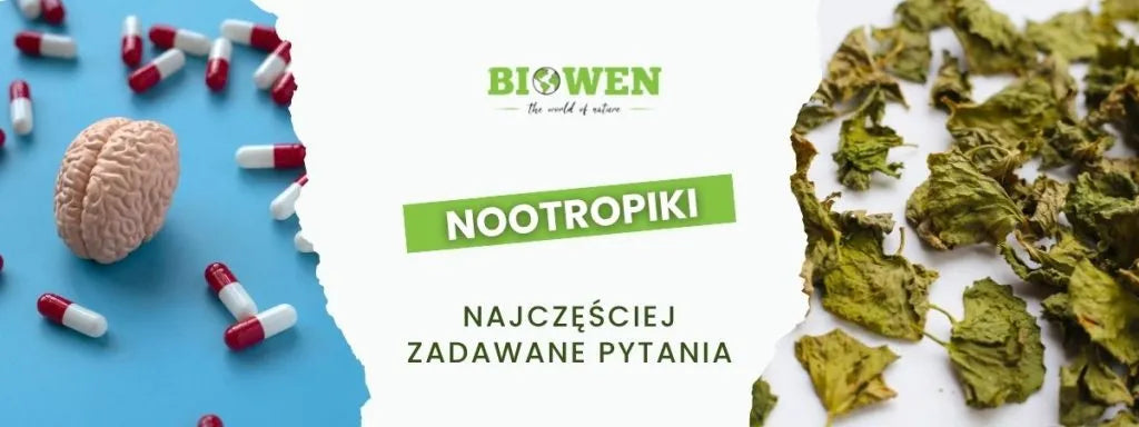 Nootropiki FAQ - obrazek poglądowy