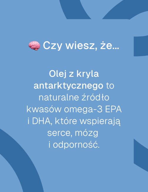 Infografika na niebieskim tle o właściwościach oleju z kryla antarktycznego bogatego w kwasy EPA i DHA.