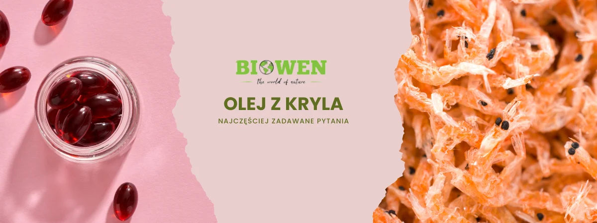 Olej z kryla FAQ