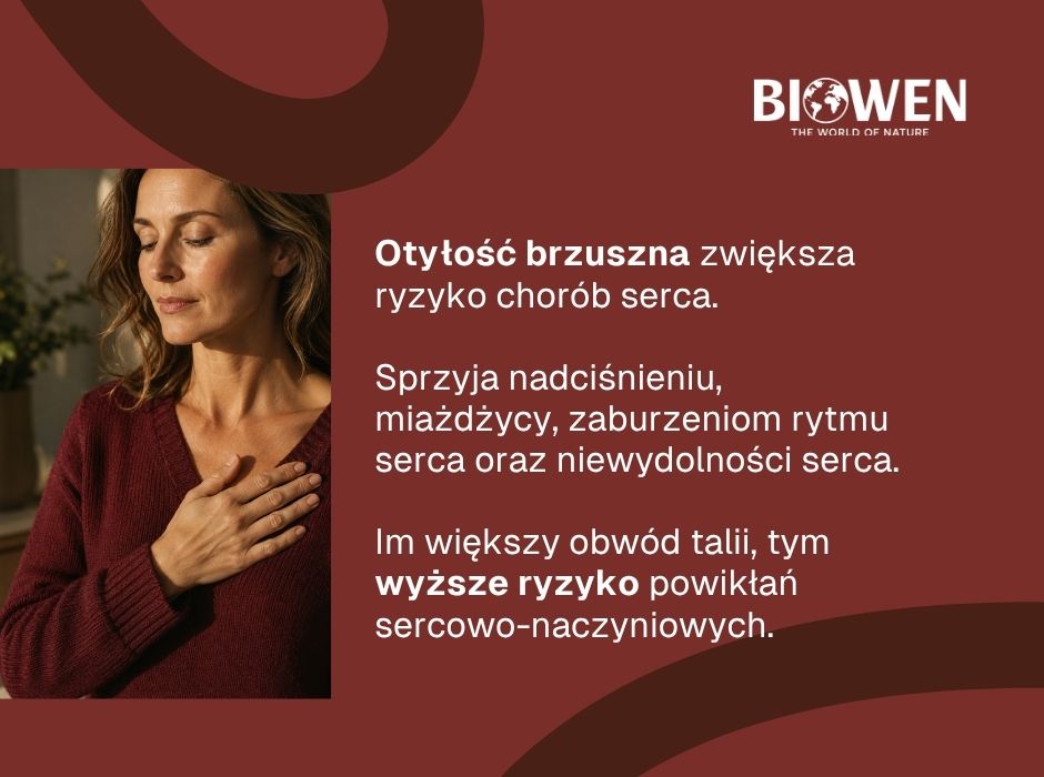 Otyłość brzuszna a serce - infografika