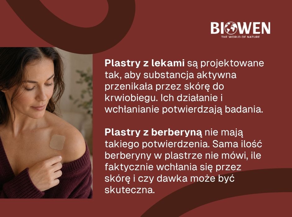 Czym różnią się plastry z berberyną od plastrów z lekami - infografika