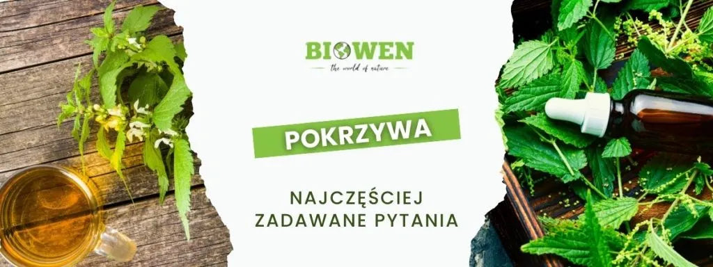 Pokrzywa FAQ - obrazek poglądowy