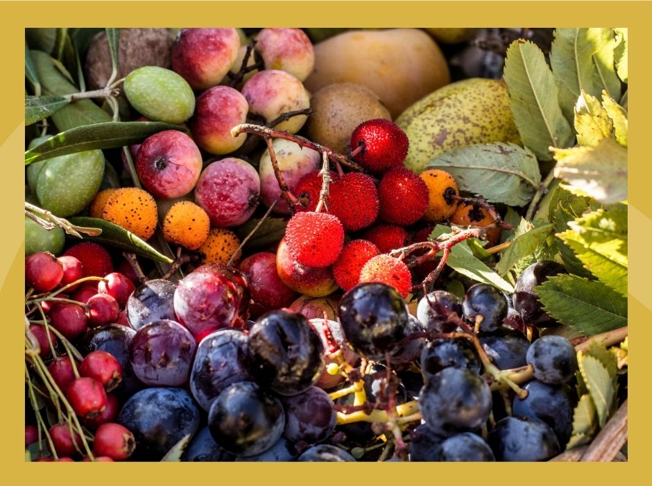 Produkty zawierające antyoksydanty - zdjęcie poglądowe