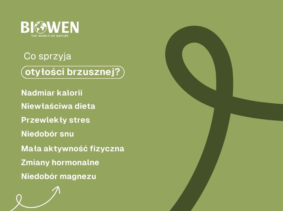 Otyłość brzuszna przyczyny - infografika